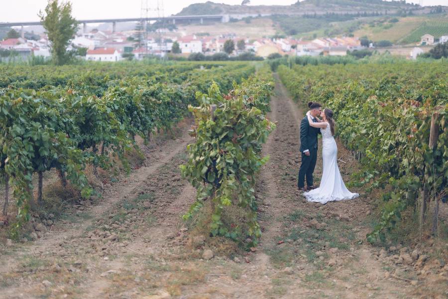 Couple among the vineyards — wedding in Azeitão